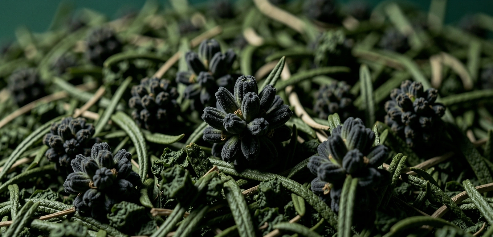 Natürliche Struktur